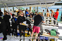 Scuba divers prepare for a dive on-board the Heron Island Resort dive boats. Heron Island, Great Barrier Reef, Queensland, Australia.
