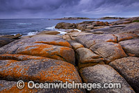 Storm over the lichen covered Granite Coast. Bicheno, Tasmania, Australia.