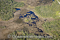 Aerial photograph of Crystal River in northwestern Florida. This section of the state is one of the last remaining wildernesses in the region and is the winter home of the endangered Florida manatee (Trichechus manatus latirostrus).