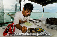 Mr Kazuyoshi Takami, proprietor of Kazu Pearl Farm, dissects a live Pearl Oyster (Pinctada maxima) to demonstrate the seeding procedure. Friday Island, Torres Strait, Queensland, Australia