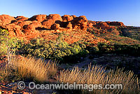Sandstone domes. Kings Canyon, Central Australia