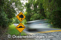 Cassowary Warning road sign, Cape Tribulation, Far North Queensland, Australia.