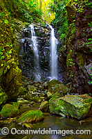 Box Log Fall (Tullerigumai Falls), situated in sub-tropical rainforest, Lamington World Heritage National Park, Queensland, Australia.