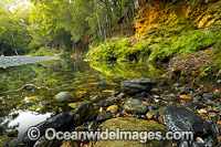 Never Never River, a rainforest stream situated in the Promised Land, near Bellingen, New South Wales, Australia.